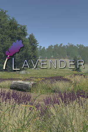 Lavender