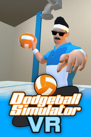Dodgeball Simulator VR