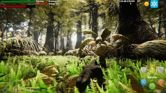 Screenshot 11