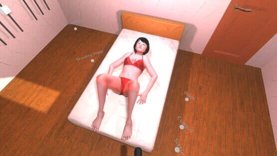 Love Room screenshot 11