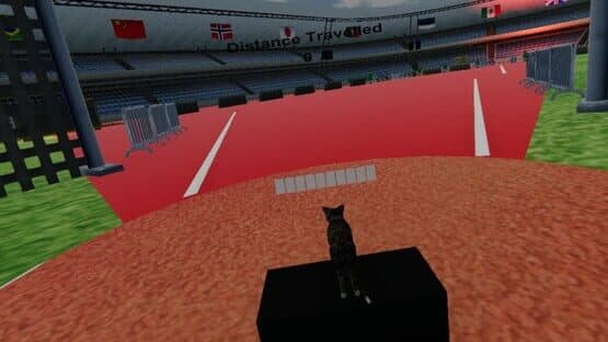 Swing the cat screenshot 9