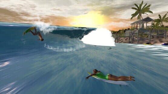The Endless Summer - Search For Surf screenshot 7