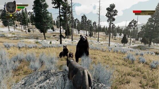 Screenshot 9