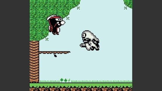 Rabidja's Revenge screenshot 9