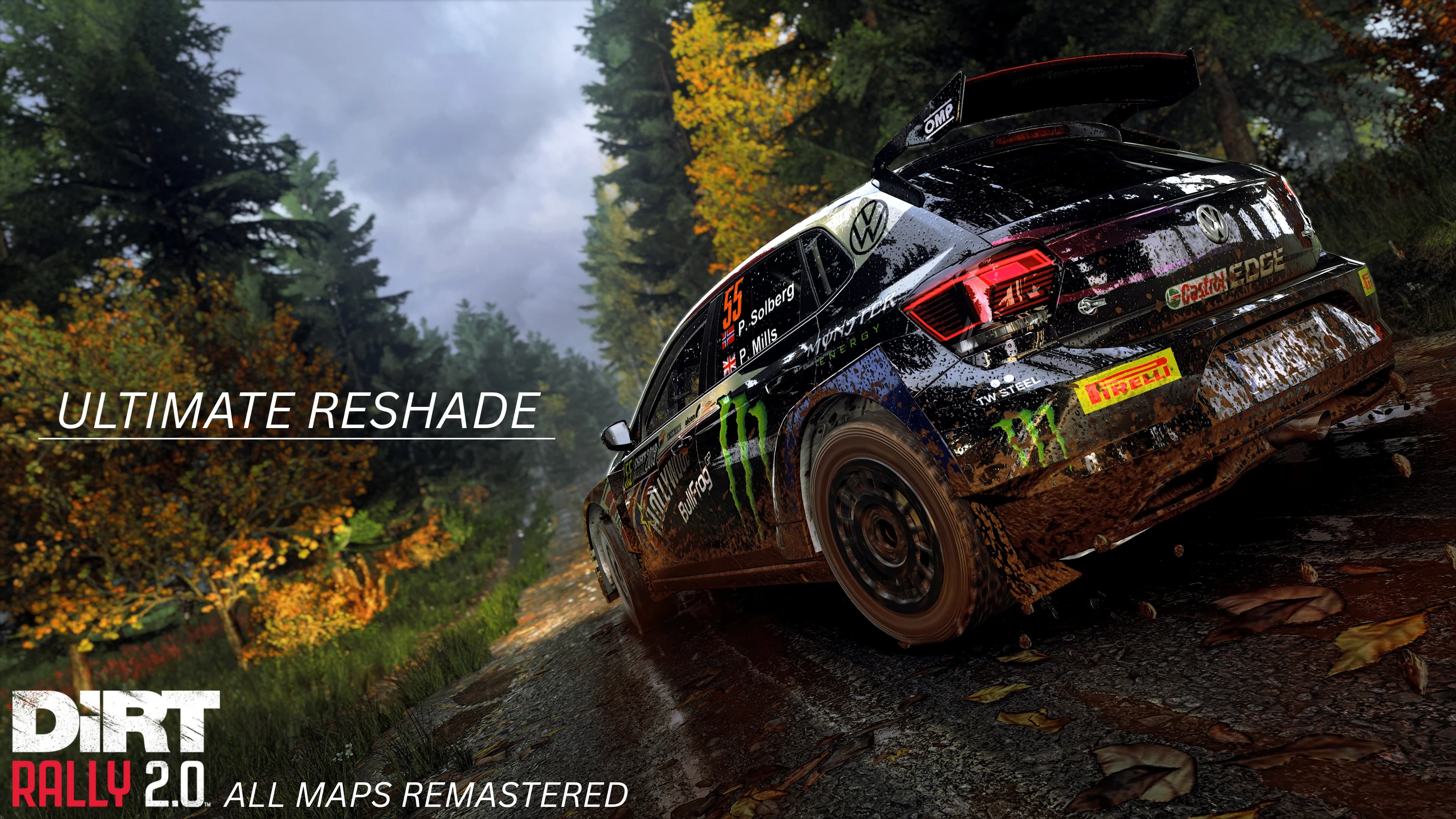 NEO DiRT Rally 2.0 - Realistic ReShade - better graphics