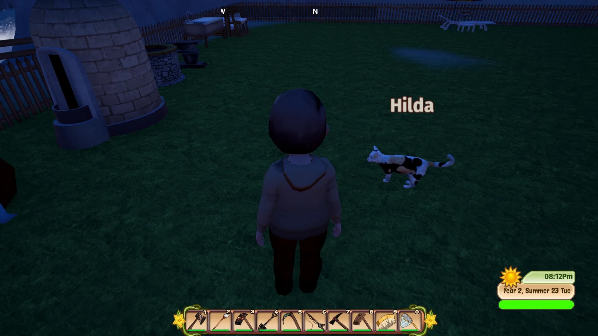 Soaring Improved Pets