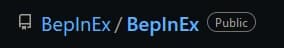 BepInEx