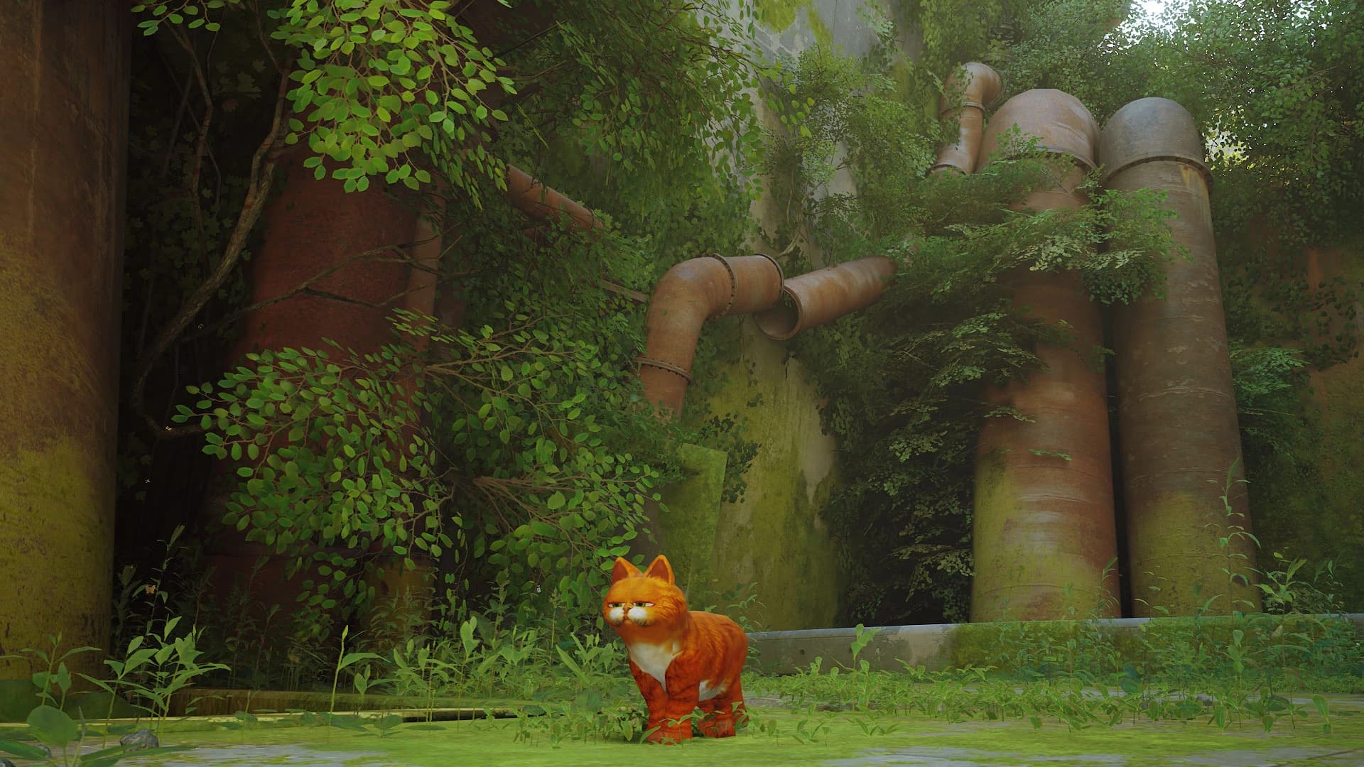 Garfield - Cartoon Edition