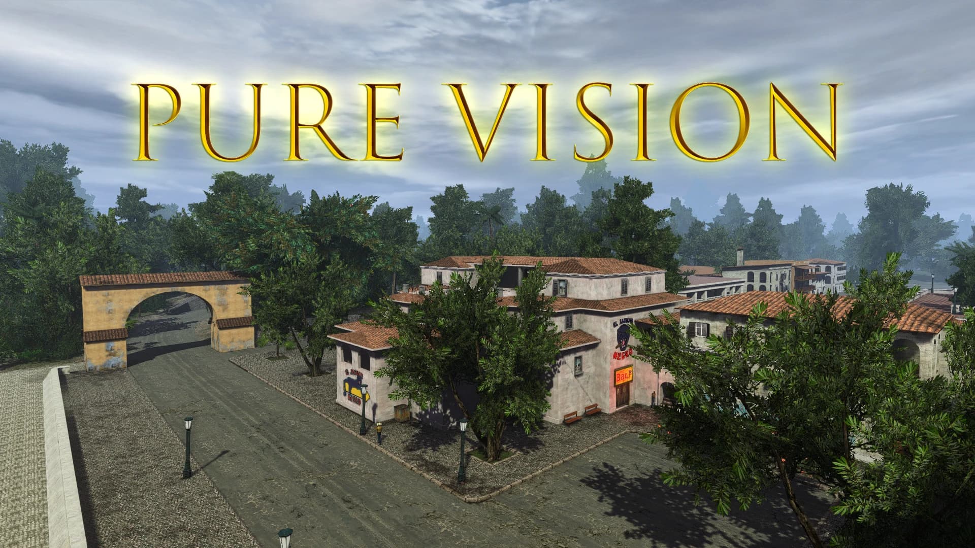 Pure Vision