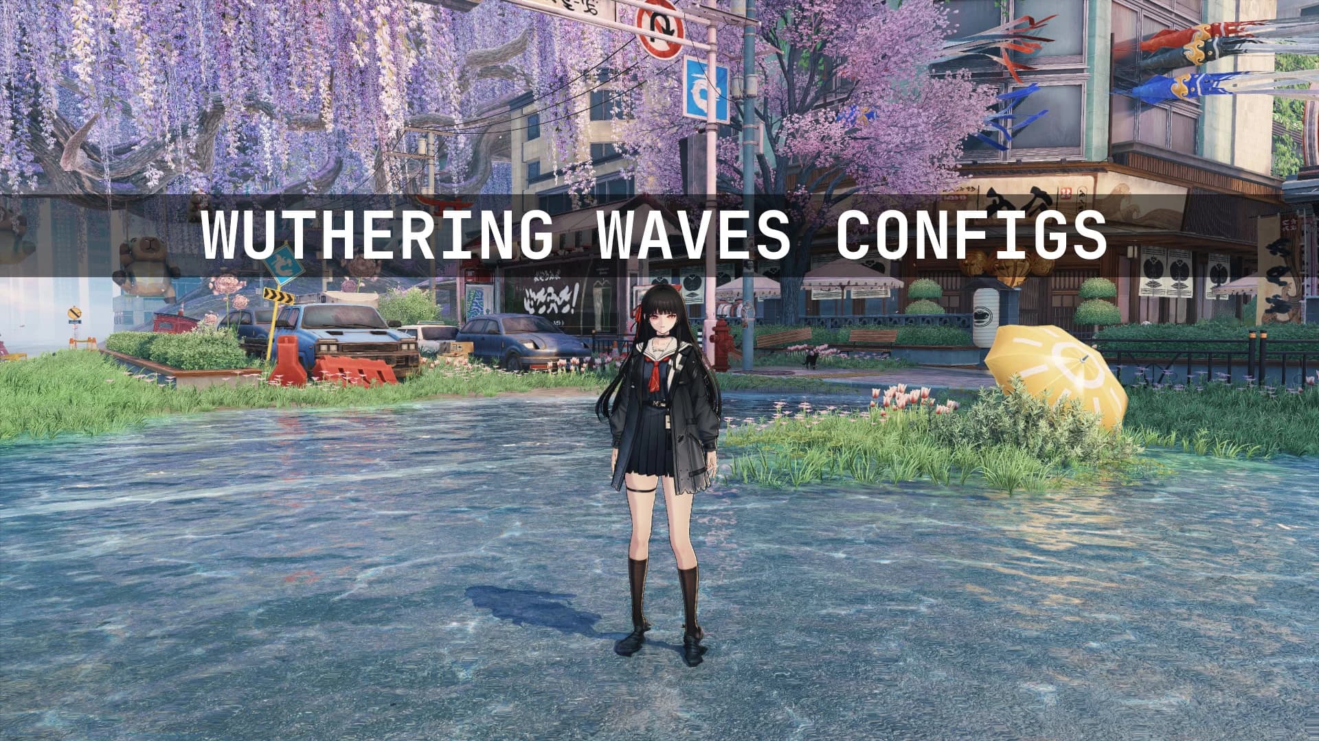 WuWa Configs