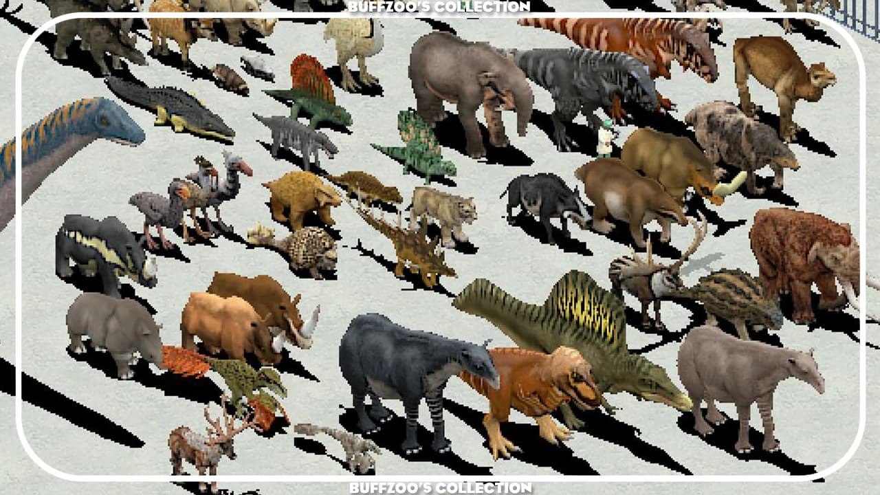 Buffzoo's Collection