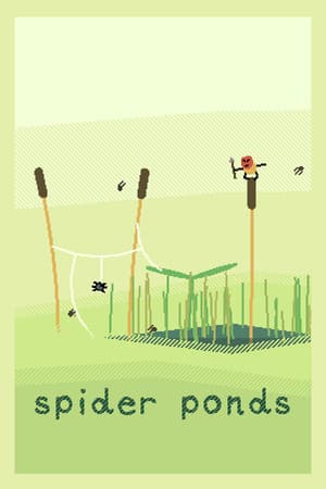 spider ponds
