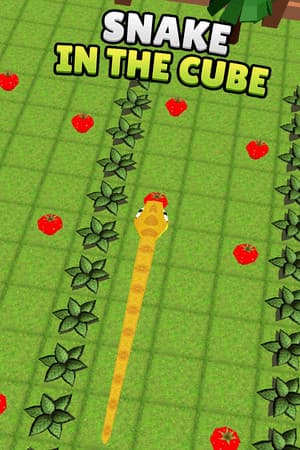 Snake In The Cube