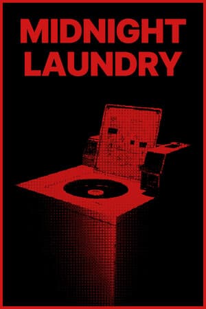 Midnight Laundry