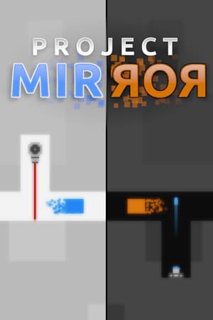 Project Mirror