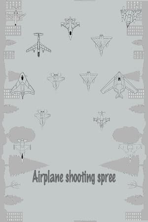 Airplane shooting spree