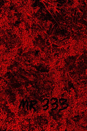 MR 333