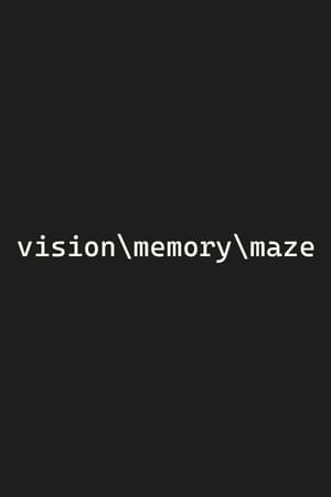 vision\memory\maze