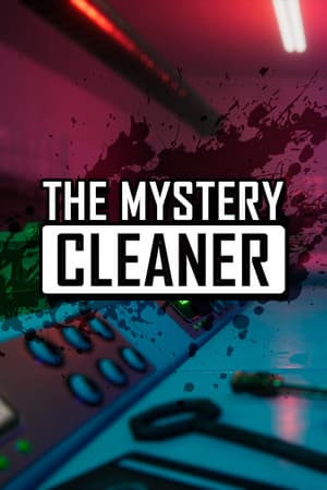 The Mystery Cleaner