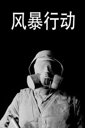 风暴行动