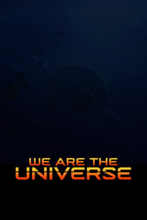 We Are the Universe