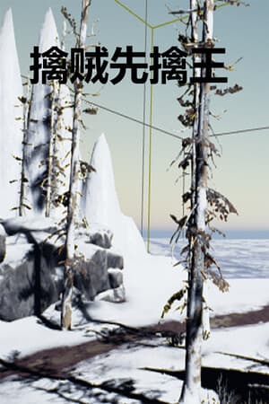 擒贼先擒王