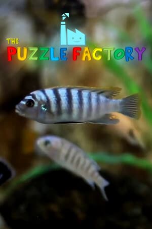 The Puzzle Factory