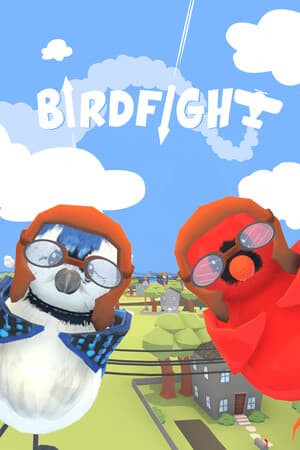 birdfight