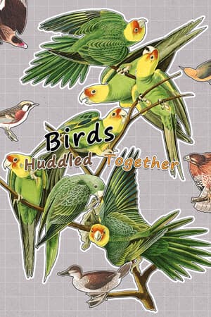 Birds Huddled Together