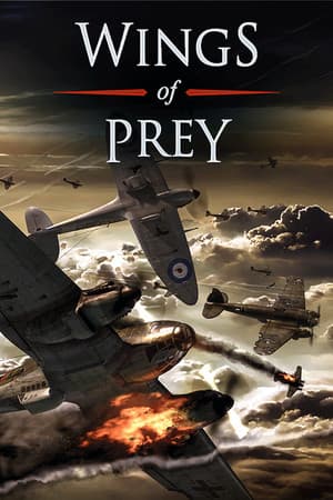 Wings of Prey: Special Edition