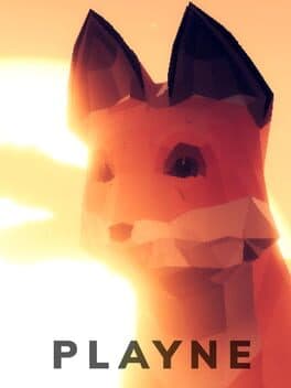 PLAYNE : The Meditation Game