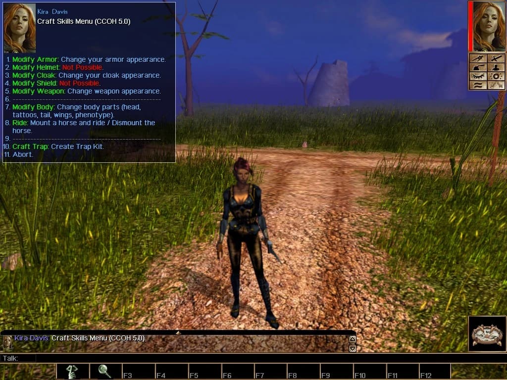 Customize Character Override Hak