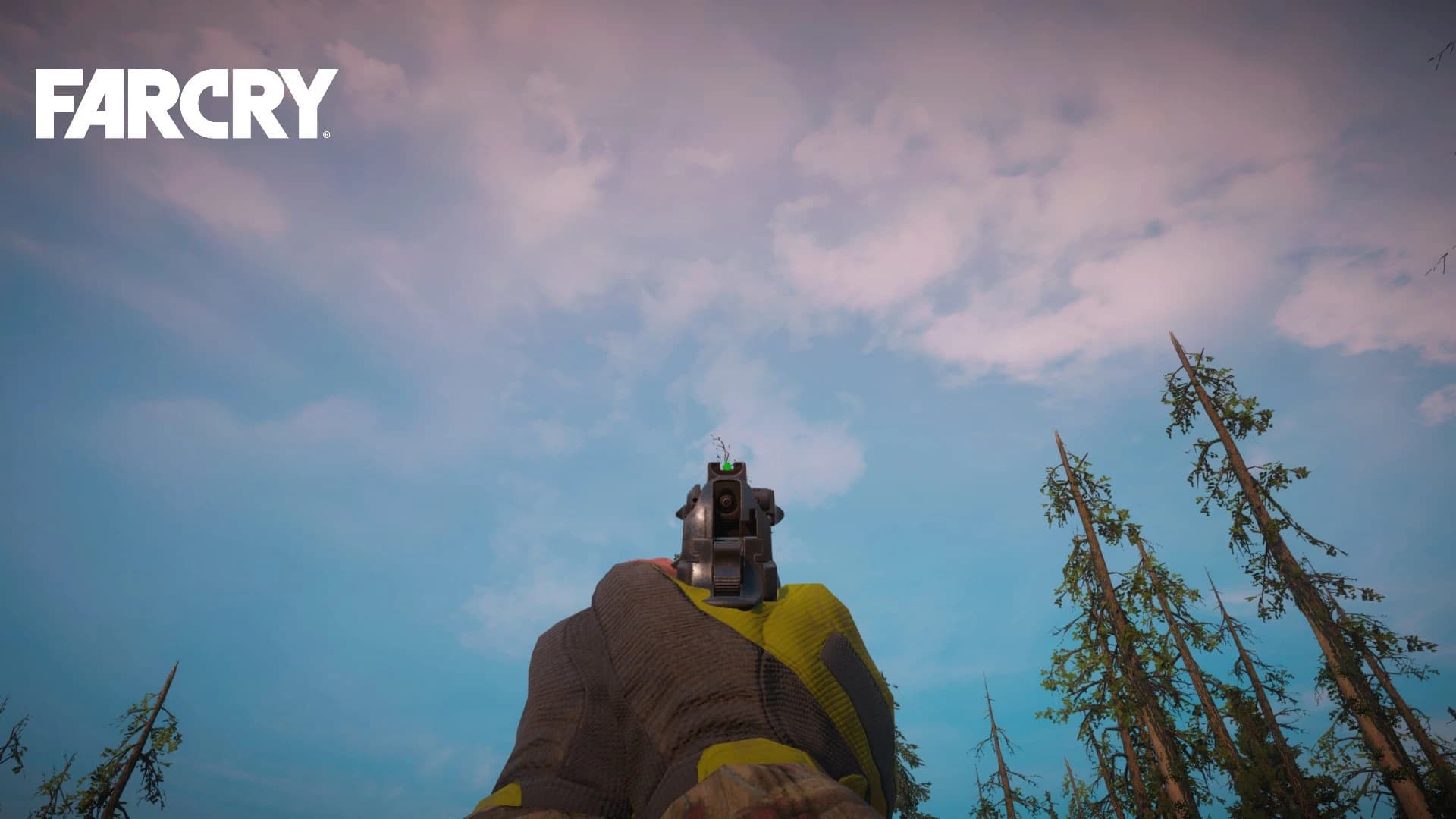 FC5 classic type of weapon and Vehicles speed