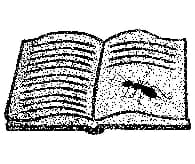 A book about Ants