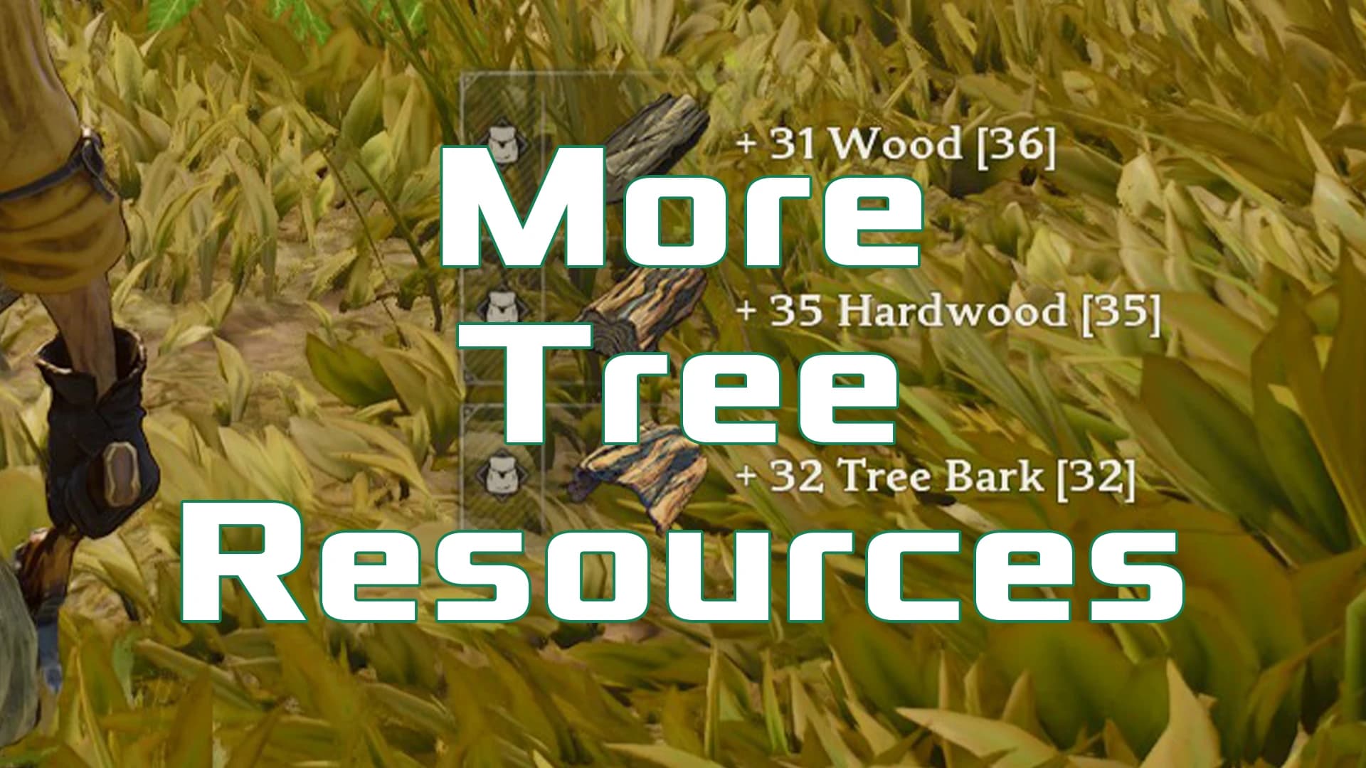 More Tree Resources